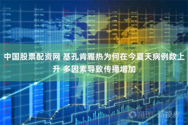 中国股票配资网 基孔肯雅热为何在今夏天病例数上升 多因素导致传播增加