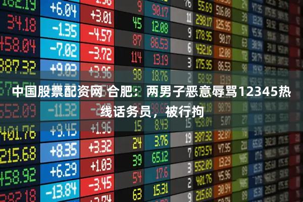 中国股票配资网 合肥：两男子恶意辱骂12345热线话务员，被行拘