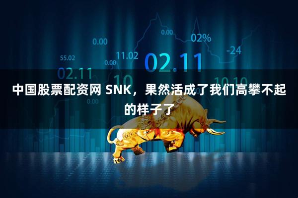 中国股票配资网 SNK，果然活成了我们高攀不起的样子了